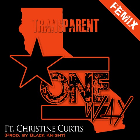 Transparent – feat. Christine Curtis – One Way [FEMIX]