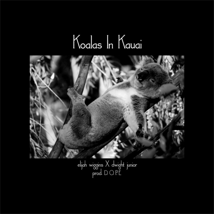 Elijah Wiggins – Koalas In Kauai feat. Dwight Junior