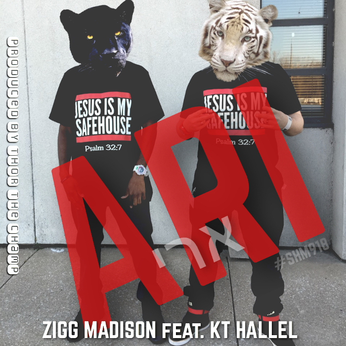 Zigg Madison – ARI feat. KT HalleL