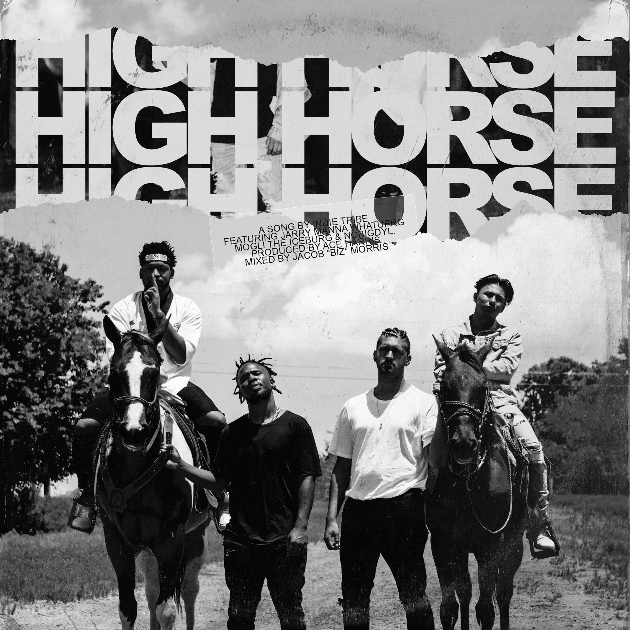 indie tribe – High Horse